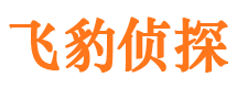 樟树市调查公司